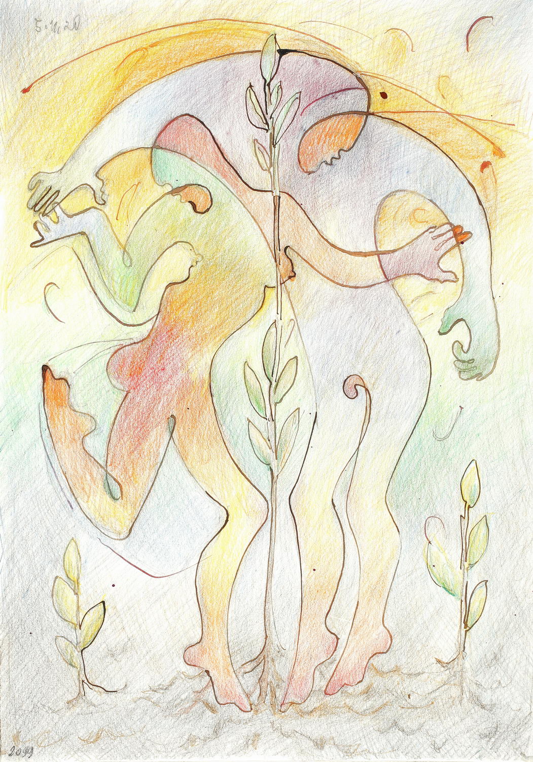 color pencil